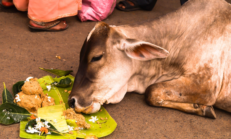 पितृपक्ष में श्राद्ध करते व्यक्ति की छवि, जिसमें पिंडदान और तर्पण हो रहा है