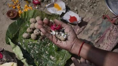 पंचबलि श्राद्ध करते हुए व्यक्ति की छवि जिसमें गाय, कौवा, कुत्ता, चींटी और देवता को भोजन अर्पित किया जा रहा है।