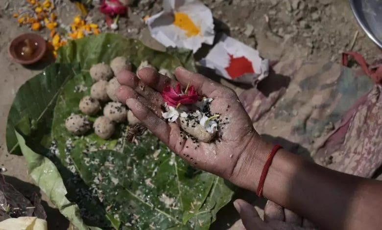 पंचबलि श्राद्ध करते हुए व्यक्ति की छवि जिसमें गाय, कौवा, कुत्ता, चींटी और देवता को भोजन अर्पित किया जा रहा है।