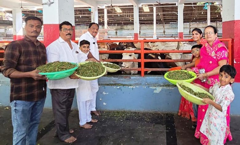 कार्तिक अमावस्या पर भक्तों की गौसेवा का दृश्य
