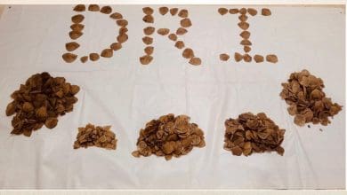 डीआरआई ने पैंगोलिन शल्क जब्त किए