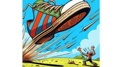 संगठन और अभिव्यक्ति में जूता उछालने का प्रतीक