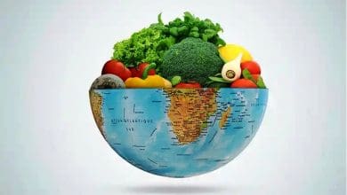 भूख और भोजन बर्बादी: विश्व खाद्य दिवस 2025