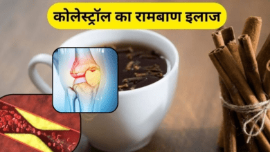 दालचीनी की छड़ें और पाउडर सर्दियों में औषधीय उपयोग के लिए