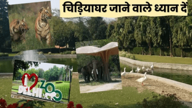 दिल्ली चिड़ियाघर के प्रवेश द्वार पर लगे साइन बोर्ड के पास पर्यटक