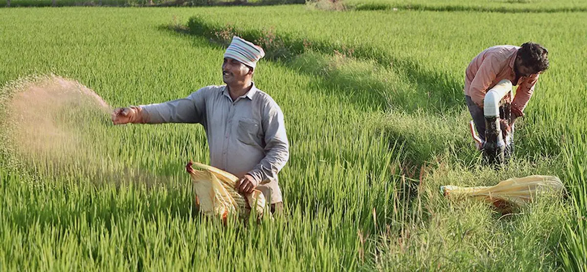 महाराष्ट्र में ई-फसल सर्वेक्षण की समय सीमा बढ़ी