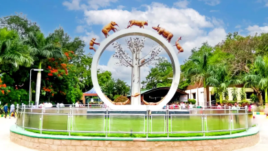 हैदराबाद नेहरू जू में विश्व वन्य जीव सप्ताह की धूम