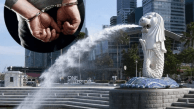 सिंगापुर में भारतीय पर्यटक महिलाओं पर लूटपाट