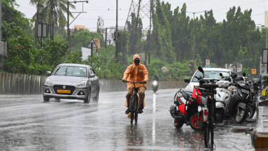 इस साल हुई भरपूर बारिश से शहर के भूजल स्तर में सुधार