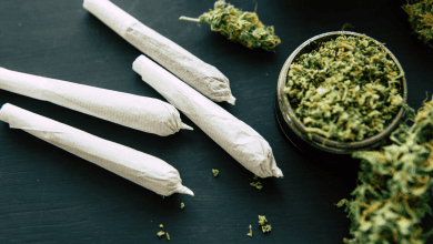 डीआरआई टीम ने विजयवाड़ा में ट्रक से 1,300 किलो गांजा जब्त किया