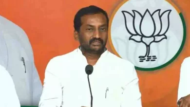 भाजपा सांसद रघुनंदन राव मीडिया से बातचीत करते हुए