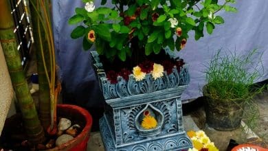 कोजागरी पूर्णिमा: खीर, दीपदान और लक्ष्मी पूजन के उपाय