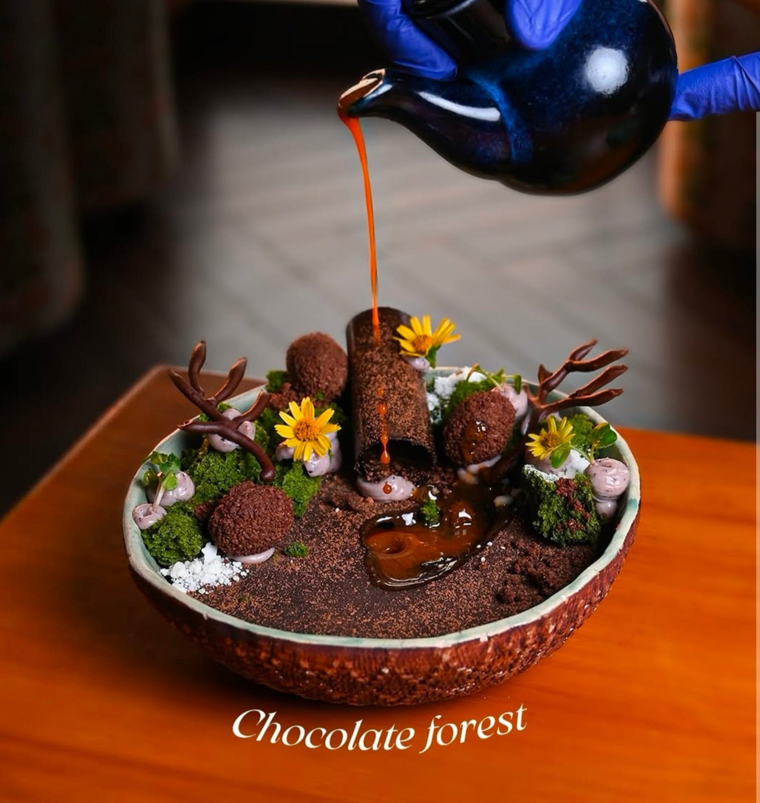 चॉकलेट फॉरेस्ट