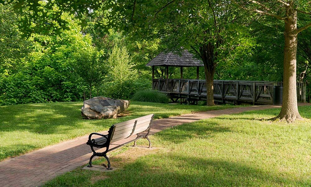 खाली सरकारी जमीनों को पार्क में बदलने की नागरिकों की मांग