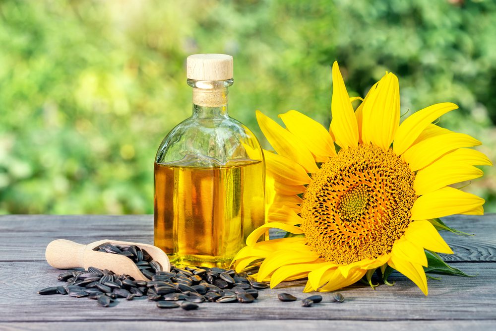 सूरजमुखी के बीज का तेल (Sunflower Seed Oil): स्किन बैरियर की सुरक्षा के लिए