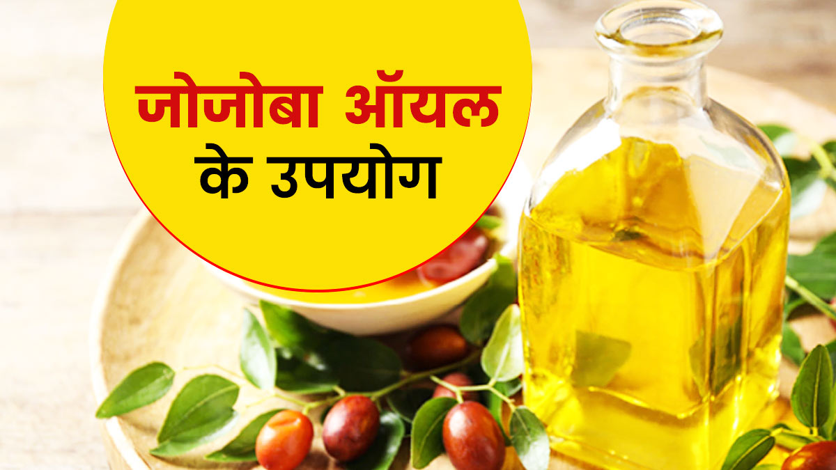 जोजोबा तेल (Jojoba Oil): दैनिक उपयोग और संवेदनशील त्वचा के लिए
