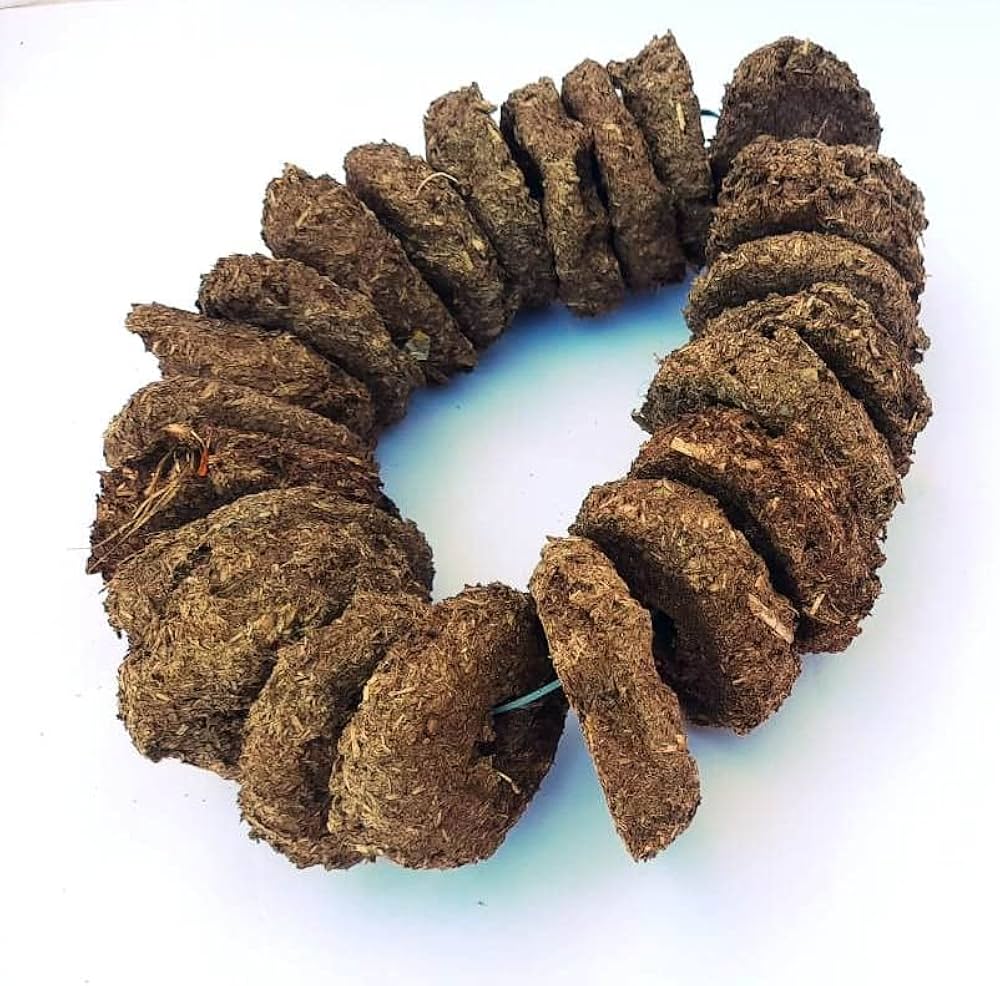 होलिका-दहन में बरगुलिया का महत्व और पर्यावरण संदेश