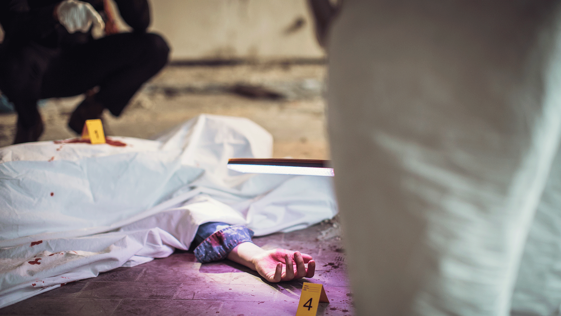 चेवेल्ला हत्या मामले में गिरफ्तार आरोपी