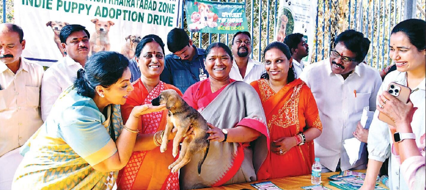 केबीआर पार्क में इंडी पपीज एडॉप्शन अभियान