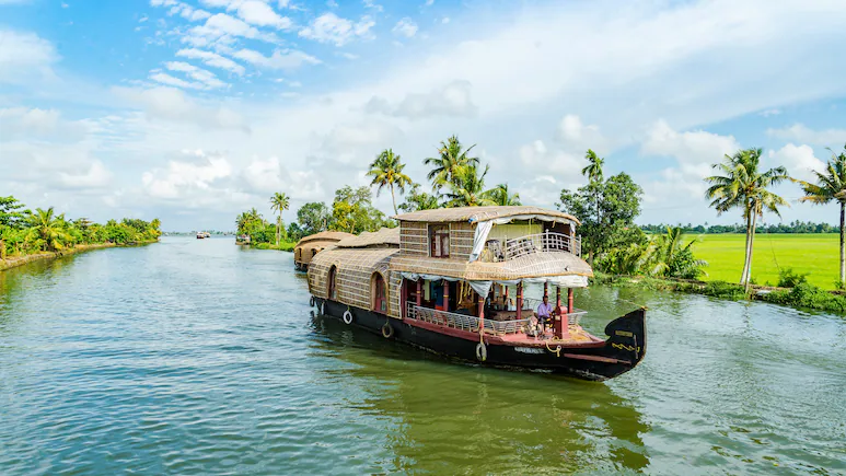 केरल के मसाला बागानों का खूबसूरत दृश्य