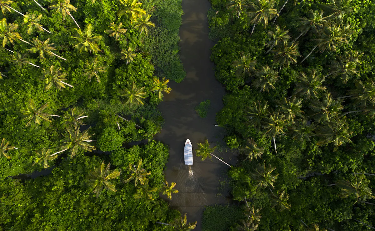 मसालों के ज़रिए केरल कैसे घूमें