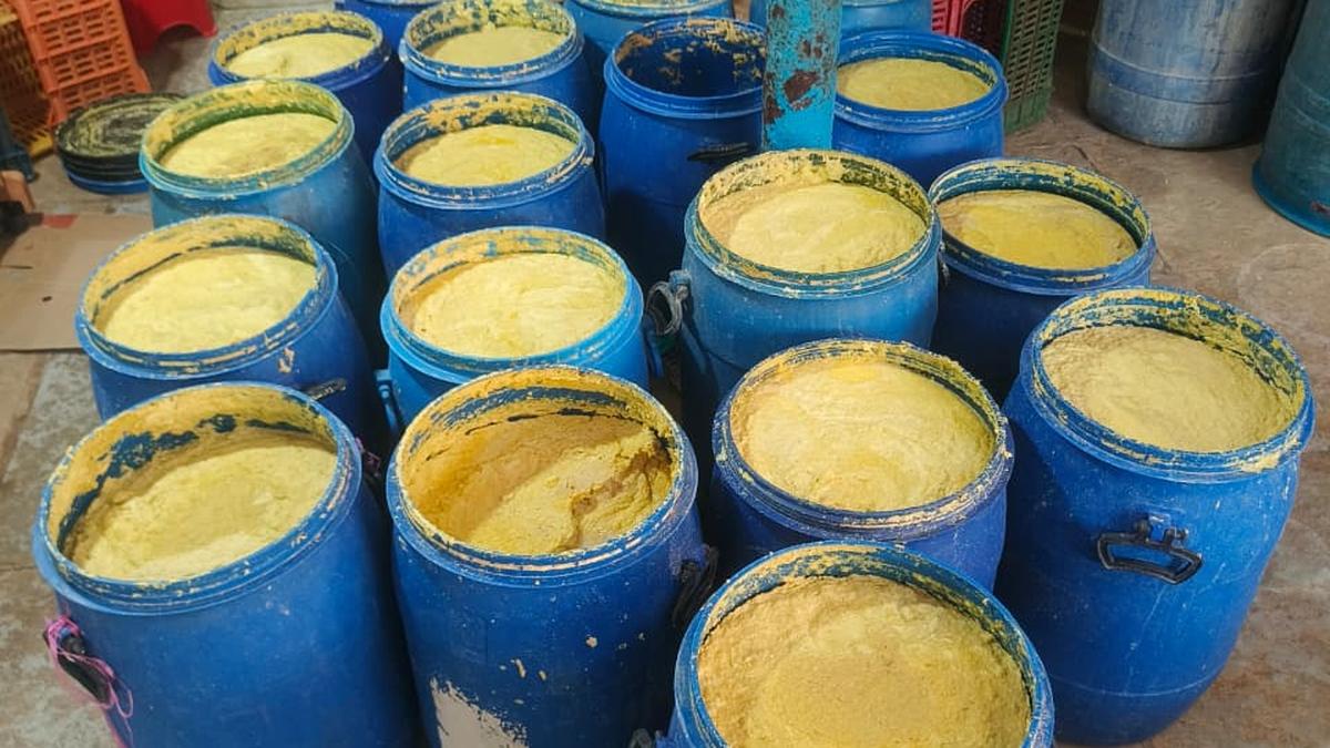 छापे में जब्त किया गया मिलावटी अदरक-लहसुन पेस्ट