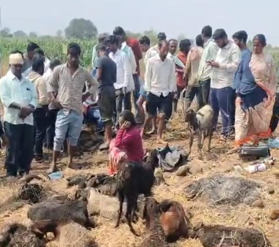 भारी बारिश से बकरियों की मौत का मामला