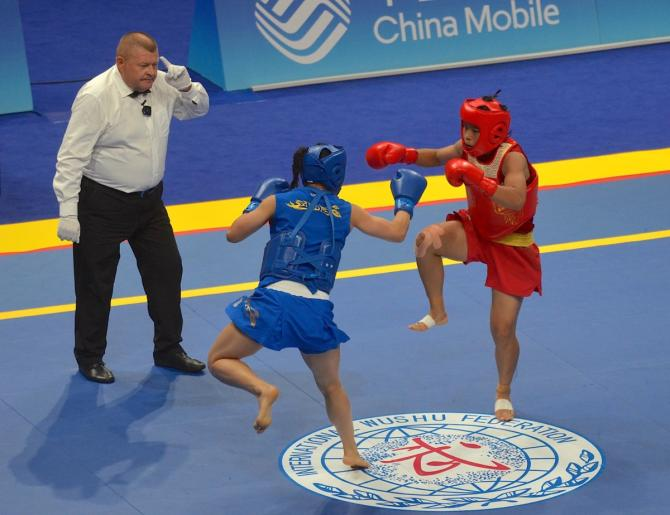 दुर्गेश्वर सिंह ने एथेंस वुशु प्रतियोगिता में रजत पदक जीता