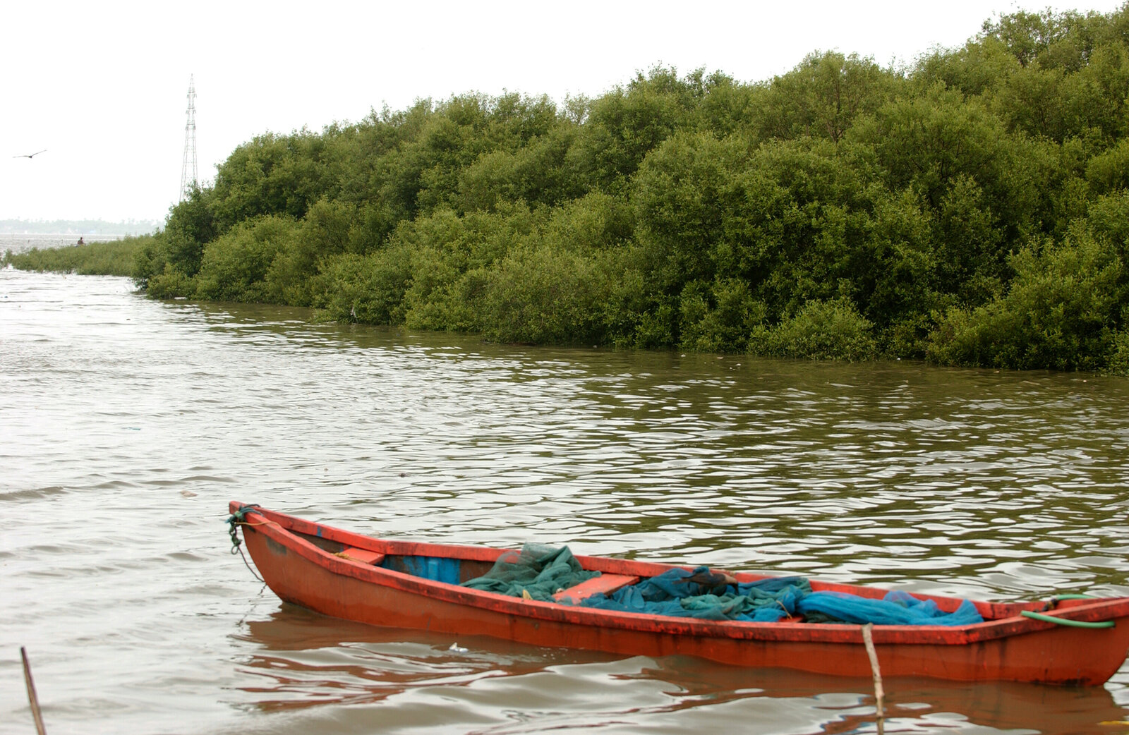 मुंबई तट पर मैंग्रोव पेड़ों की कटाई का दृश्य