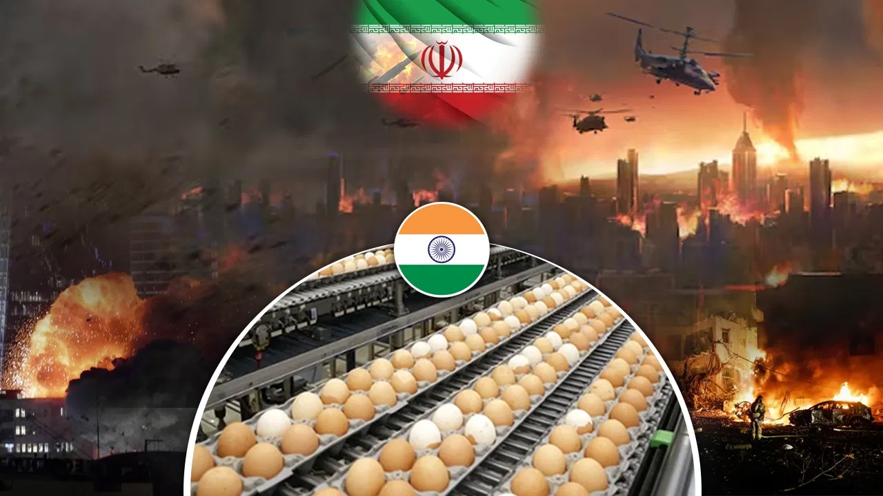 निर्यात घटने से तेलंगाना में अंडों के दाम गिरे