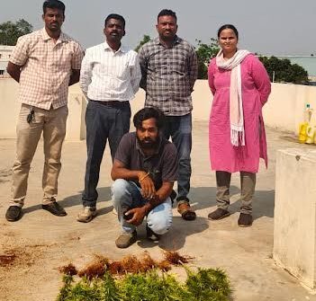 छत पर गांजा उगाते गिरफ्तार सॉफ्टवेयर इंजीनियर